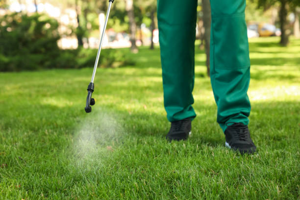 Best Ant Control Services  in Fairplay, GA