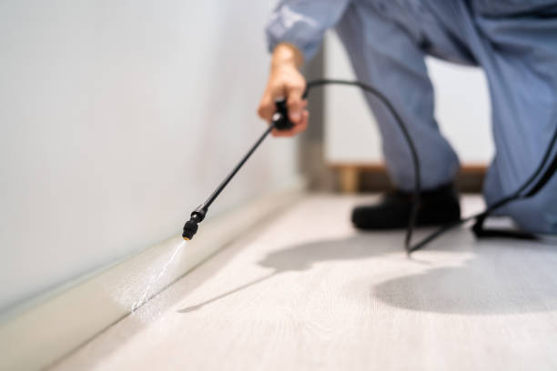 Best Termite Control Services  in Fairplay, GA