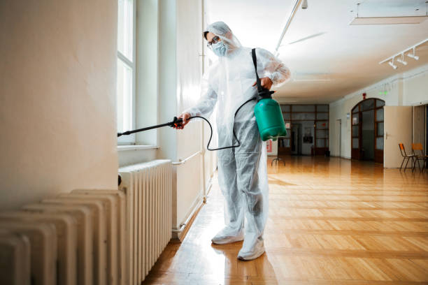 Best Cockroach Control Services  in Fairplay, GA
