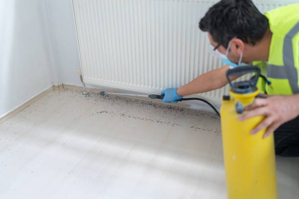 Best Pest Removal Services  in Fairplay, GA
